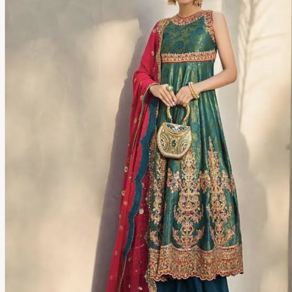 Pakistani Indian Bollywood outfit